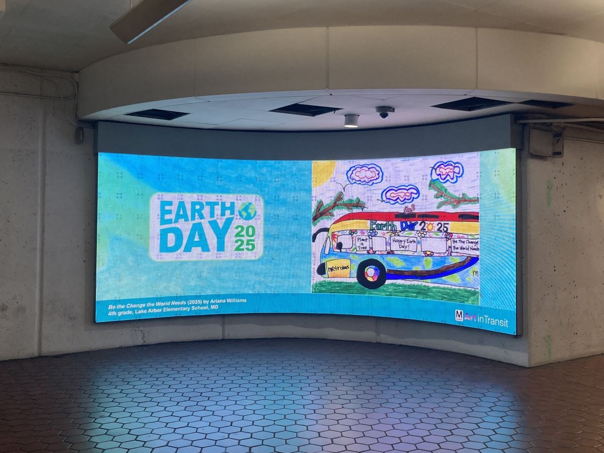 Ariana Williams - Digital Screen