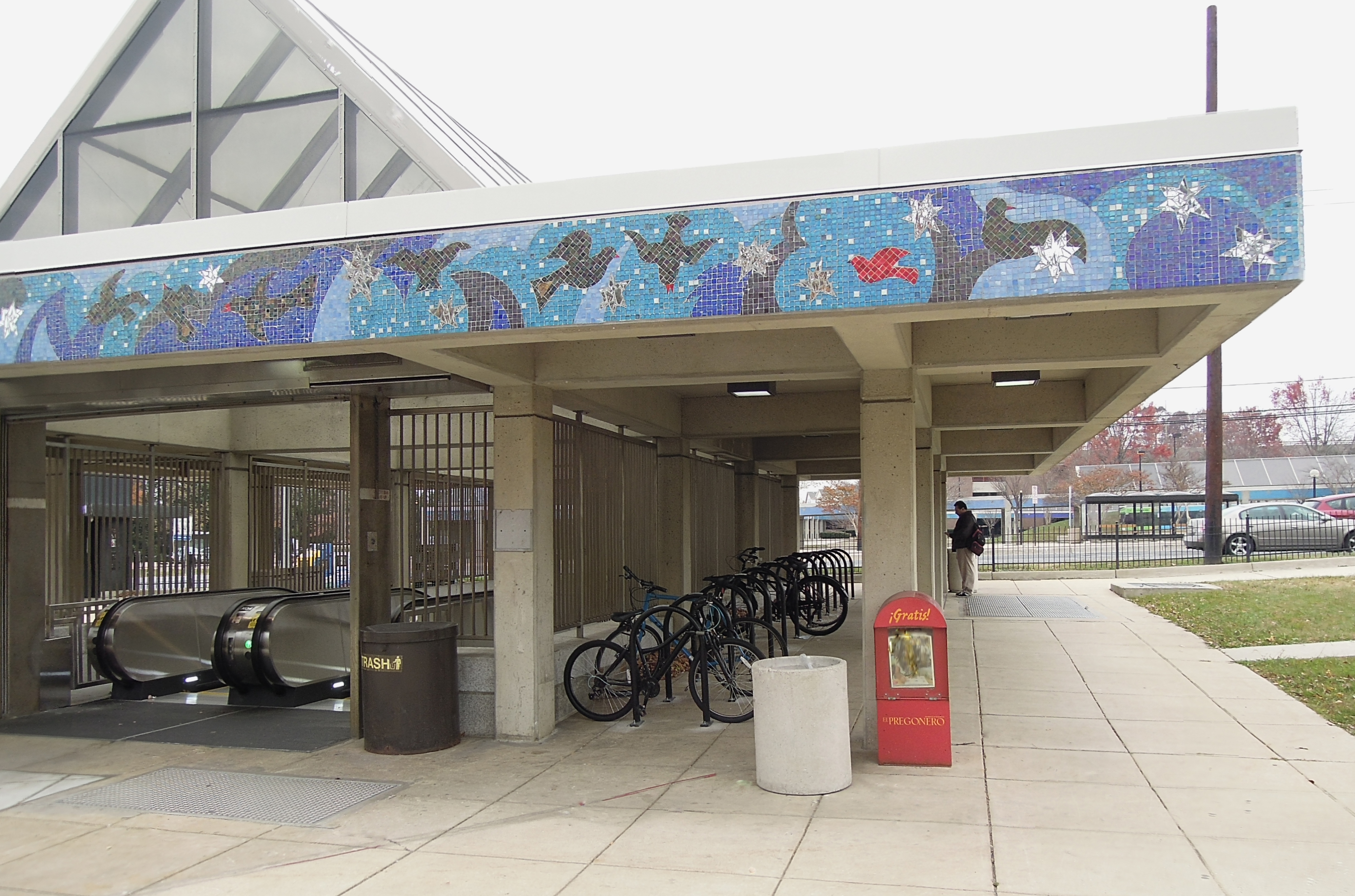 Glenmont Swallos and Stars - 2001