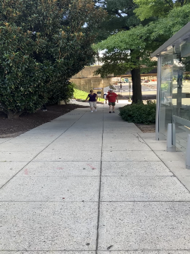 A picture of the sidewalk down 7th Street. There is landscaping on both sides of the sidewalk, and the street is further off to the right. The end of a bus shelter is also visible to the right, before some landscaping.