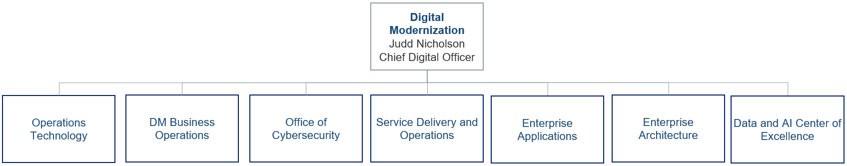 Organization Chart Chief Digital Officer